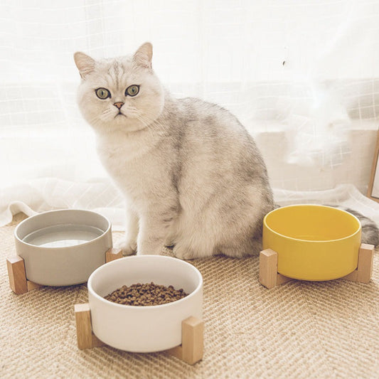 New Cute Pet Cat Bowl, Cat Basin, Ceramic Bowl, Drinking Water, Feeding, Non Slip Belt, Wooden Frame, Anti Overturning