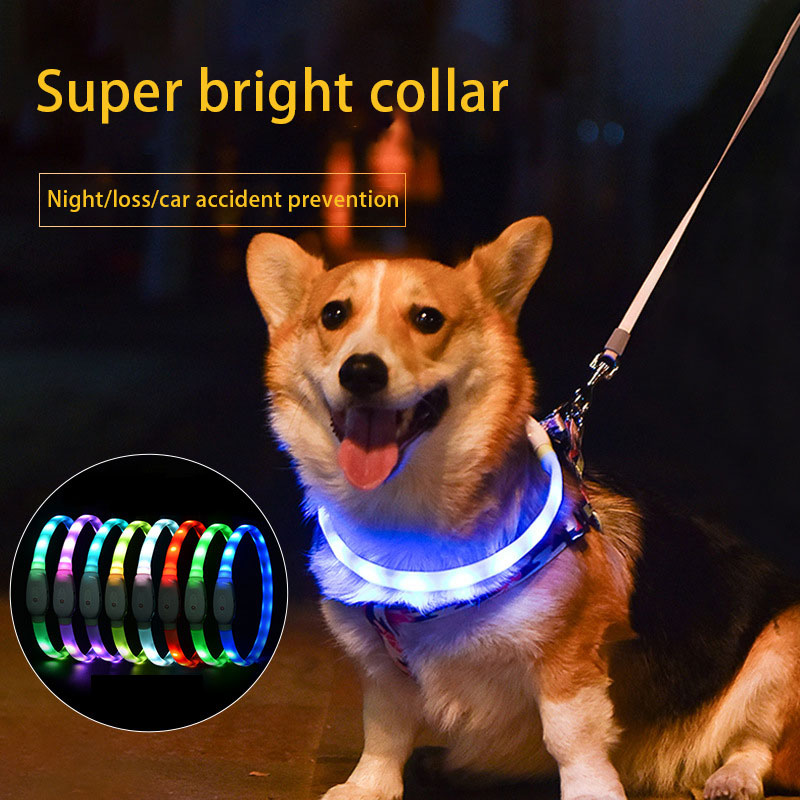 Pet Luminous Collar Pet Collar Usb Charging Diy Dog Luminous Collar Led Neck Collar Safe Dog Walking - Choice Store